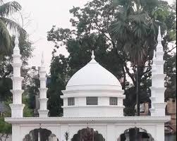 The crown of thousands of saints and saints is Syed Sufi Fateh Ali Owaisi (R.A.).